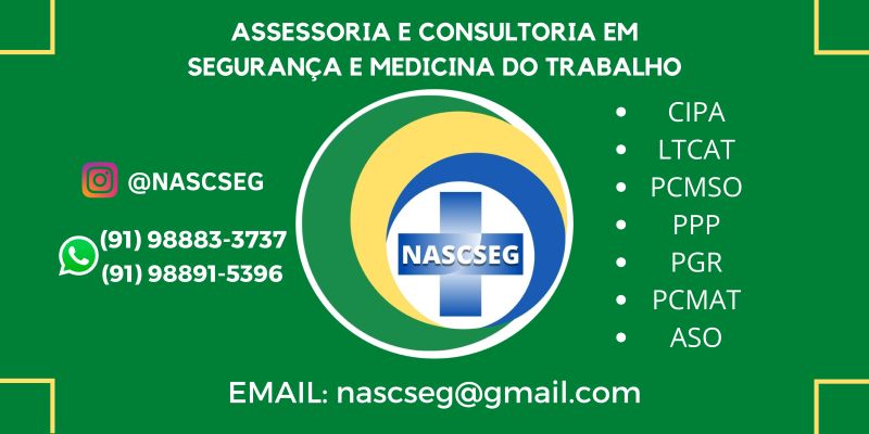 NASCSEG